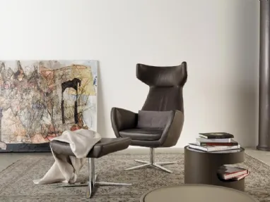 Poltrona in pelle Gentleman di Art Nova