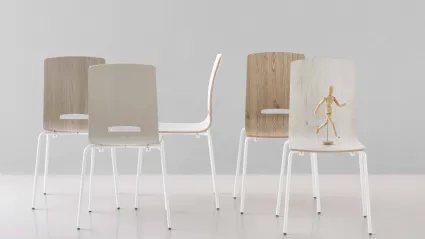 Sedia impilabile Flora in legno multistrato melaminico di Pointhouse