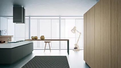 Cucina Moderna lineare Area 22 30 gradi 01 in laccato di Dibiesse